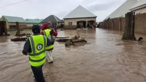 Flood in Adamawa State