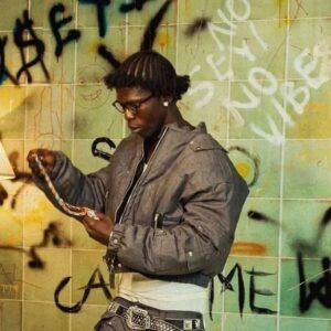 Seyi Vibez Fuji Moto Album