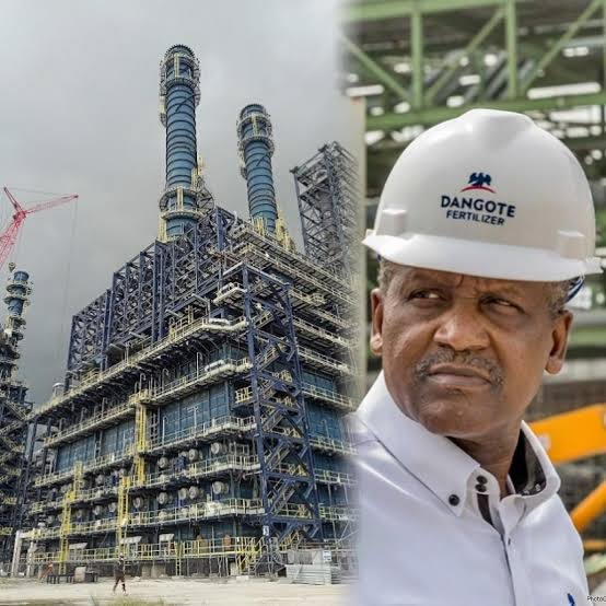 Dangote shares